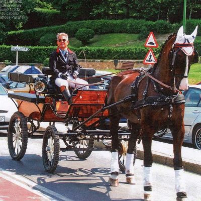 Javier de Juana enganchando coche de caballos para reportaje de Expansión